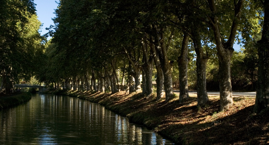 Lune de Miel - Canal Road